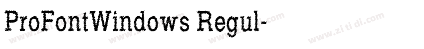 ProFontWindows Regul字体转换